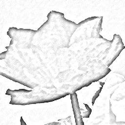 Pencil Sketch 018